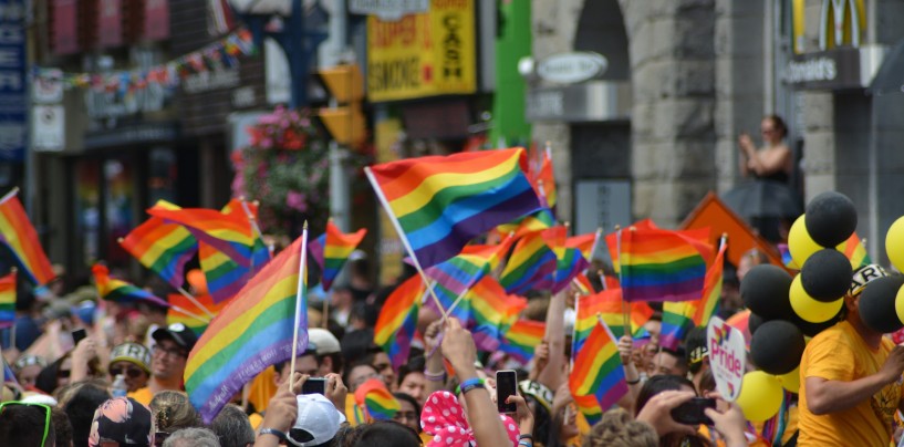 Emplois et bénévolats dans une gay pride