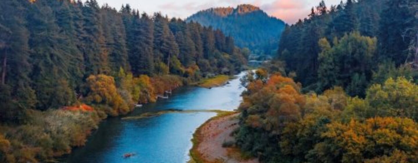 Sous le Gaydar |  Série d’été : Guerneville, Californie