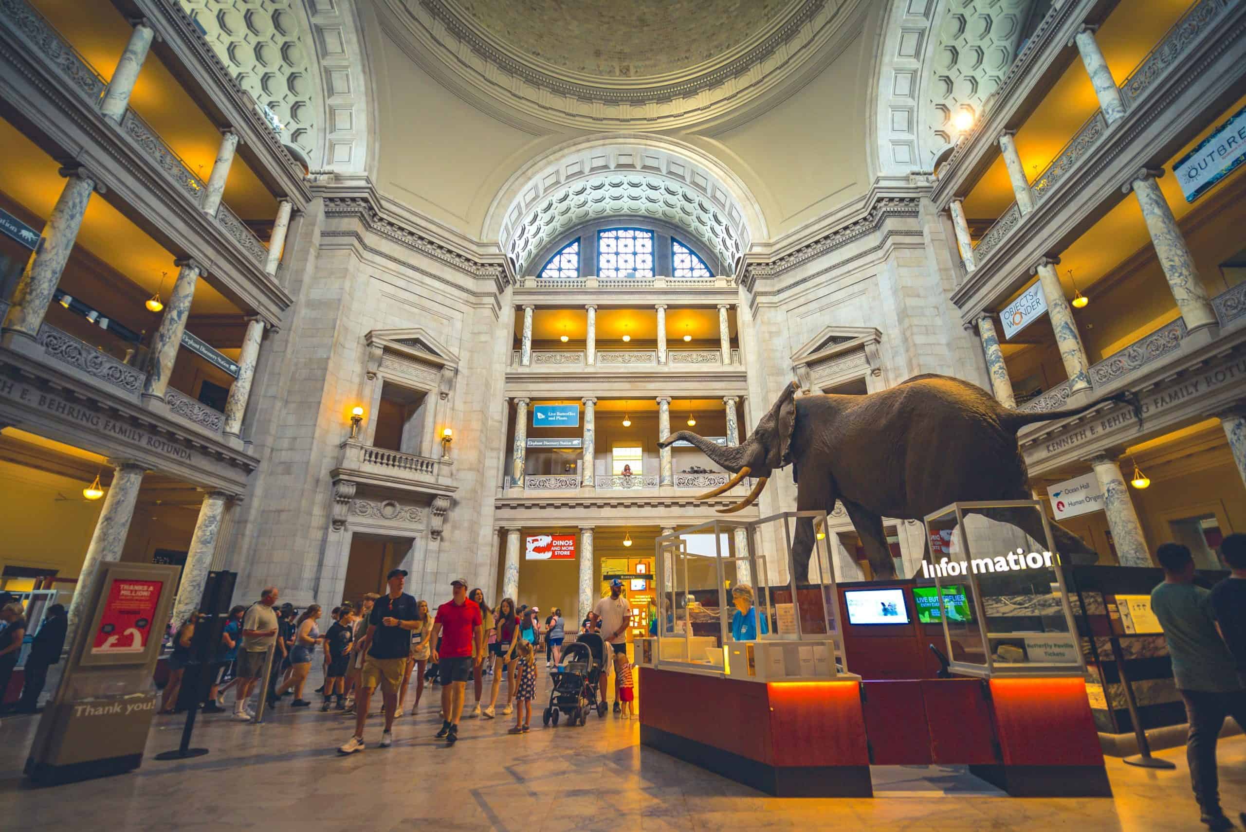 Musée d'histoire naturelle de Washington, DC