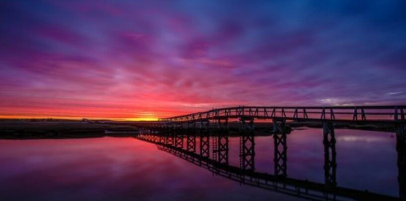 Sous le Gaydar |  Série d’été : Cape Cod