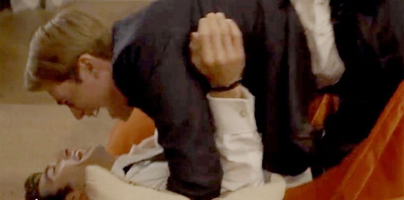 Ces bêtisiers « rouge, blanc et bleu royal » nous font rire et nous évanouir