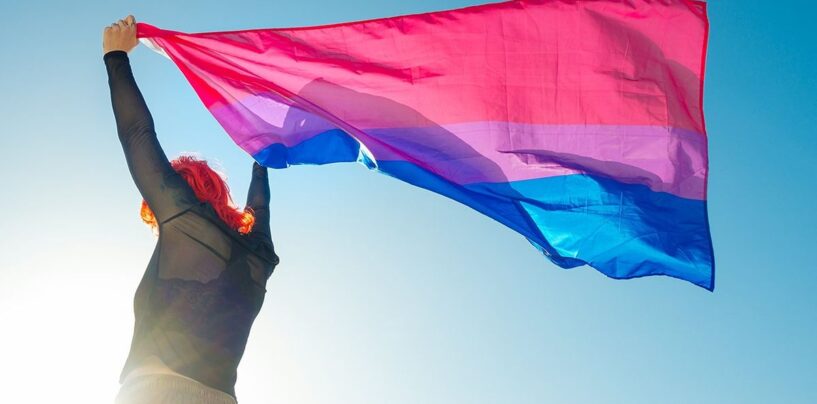 Équipement bi-thème pour vous et votre maison pour célébrer la Journée de la bisexualité