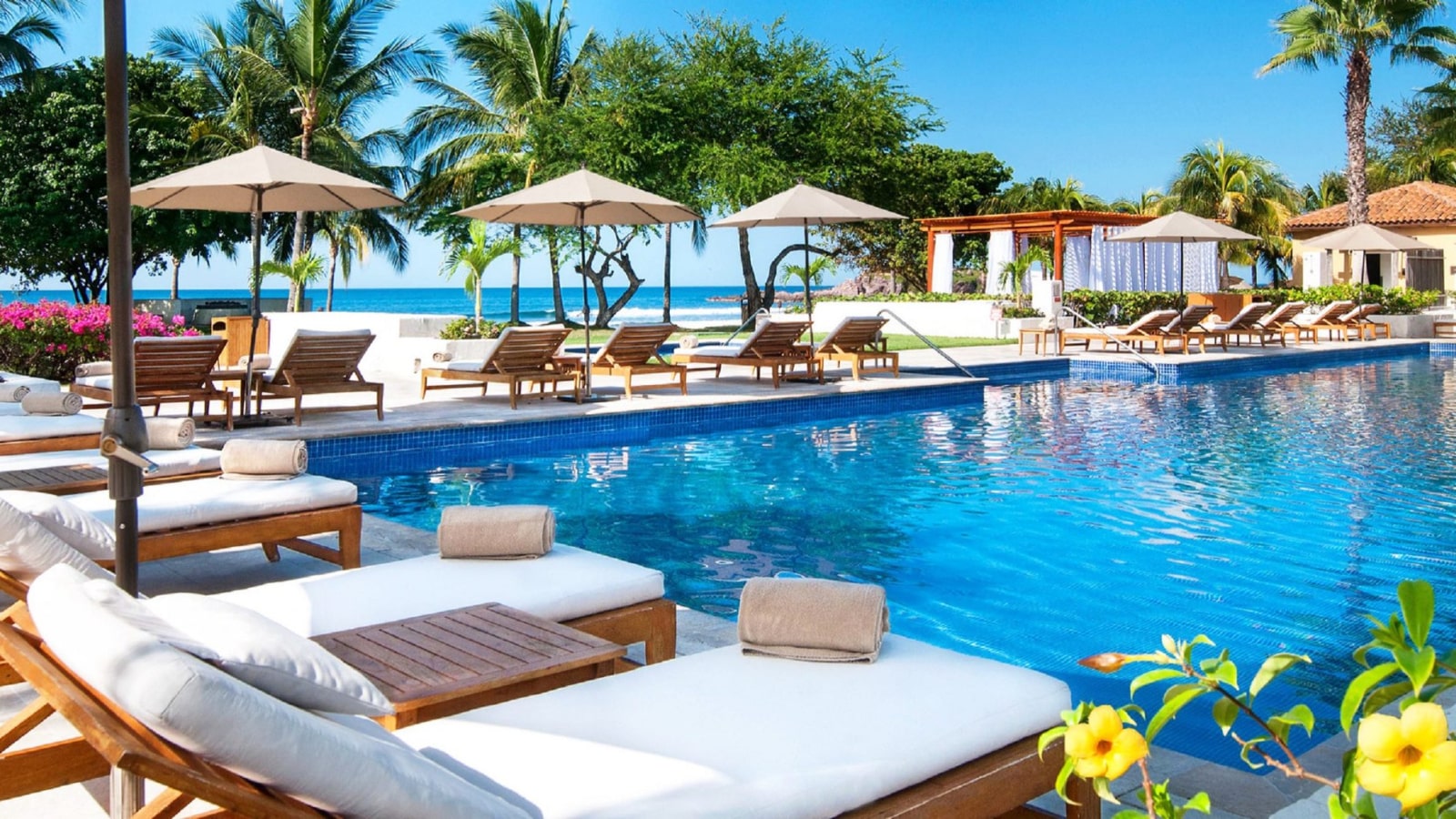 Piscine, Fleurs, Chaise Longue St. Regis Mexique