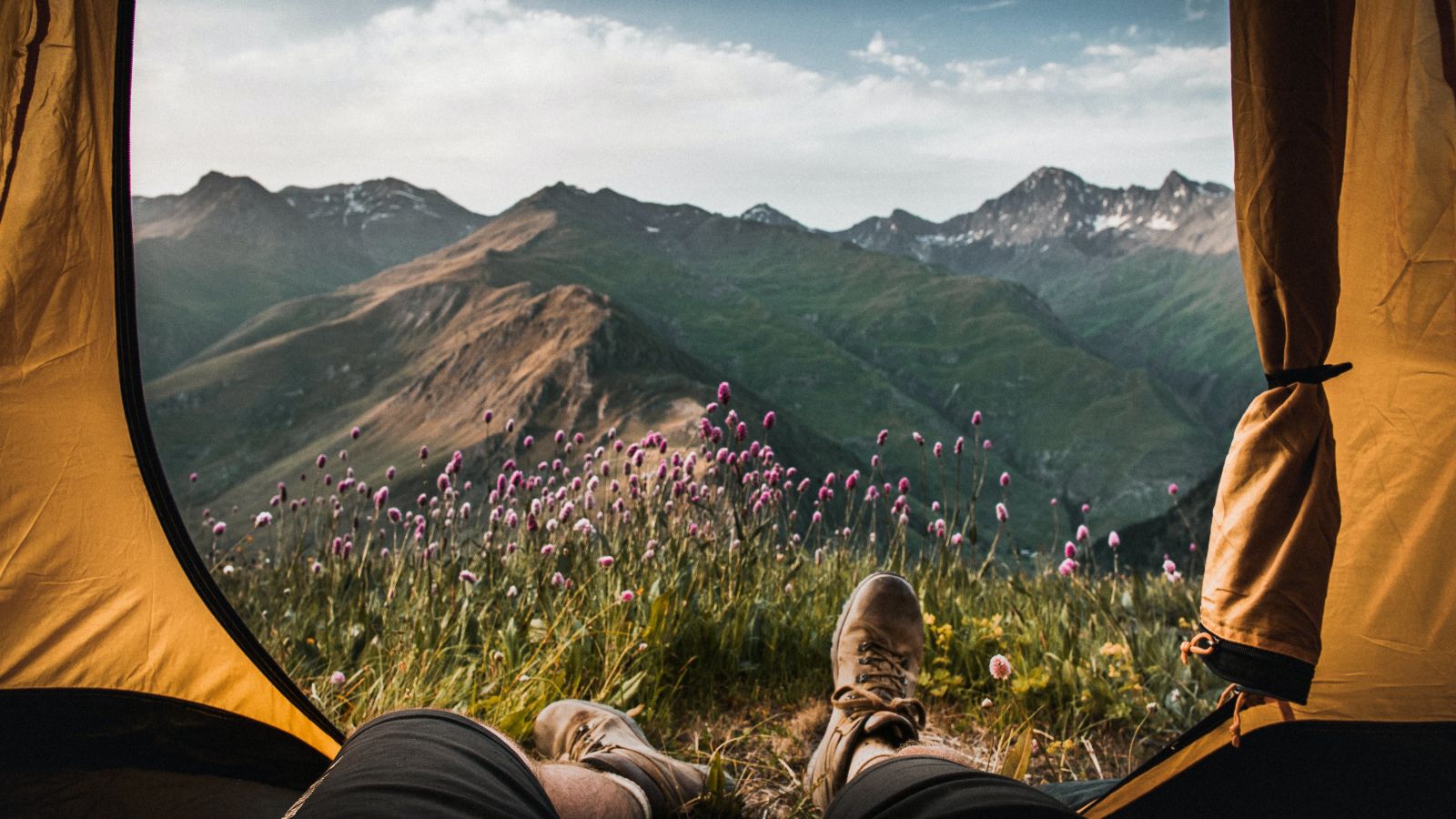 Fenêtre de tente donnant sur les montagnes et les fleurs