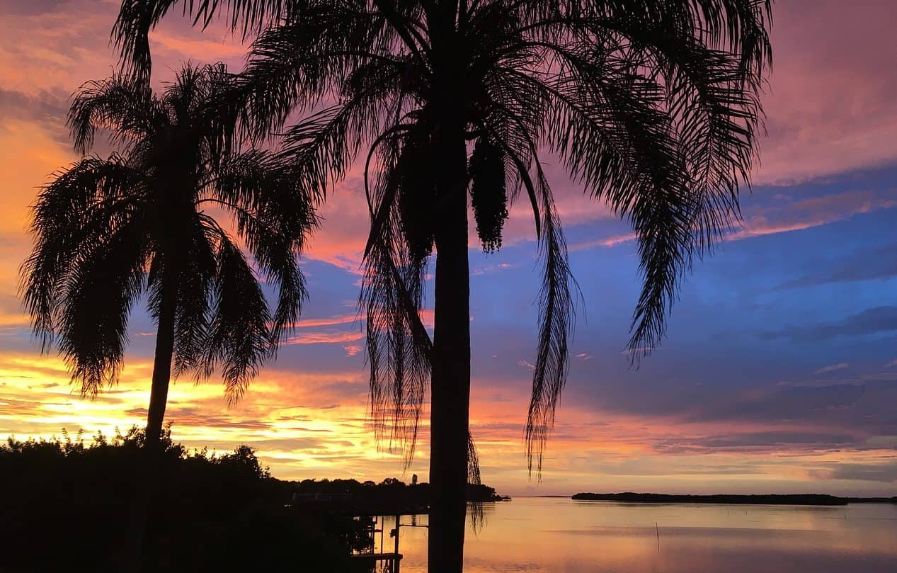 Tampa