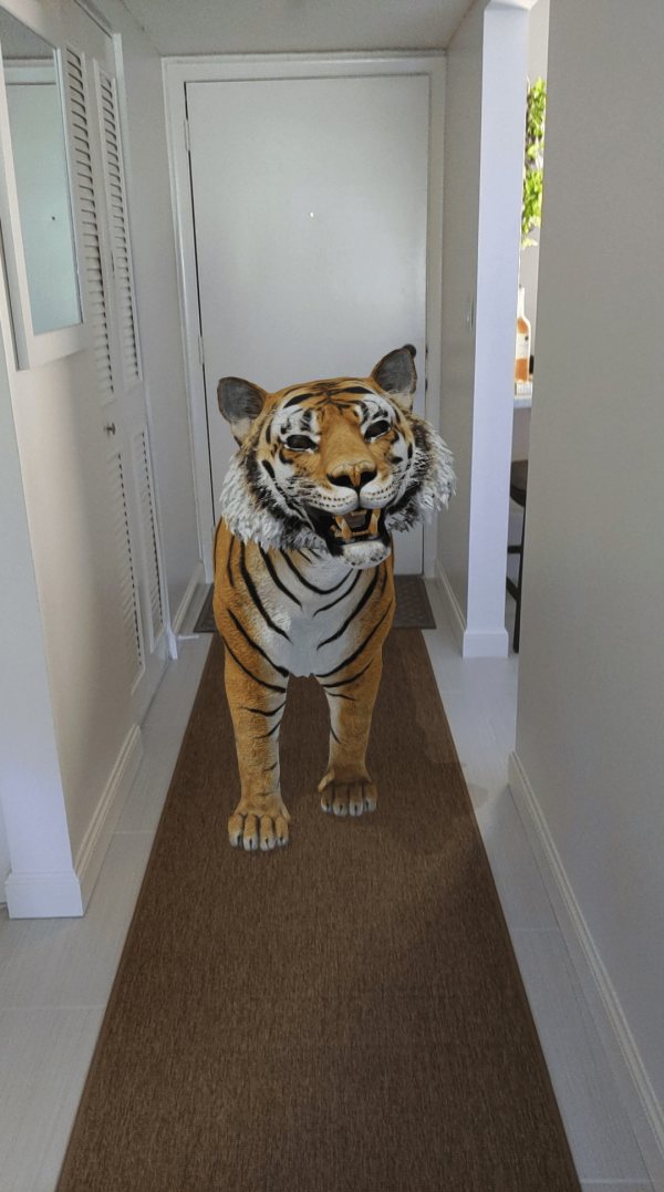 Les animaux Google 3D sont dans la maison et plus encore ZOOm-ania !  Galerie de photos