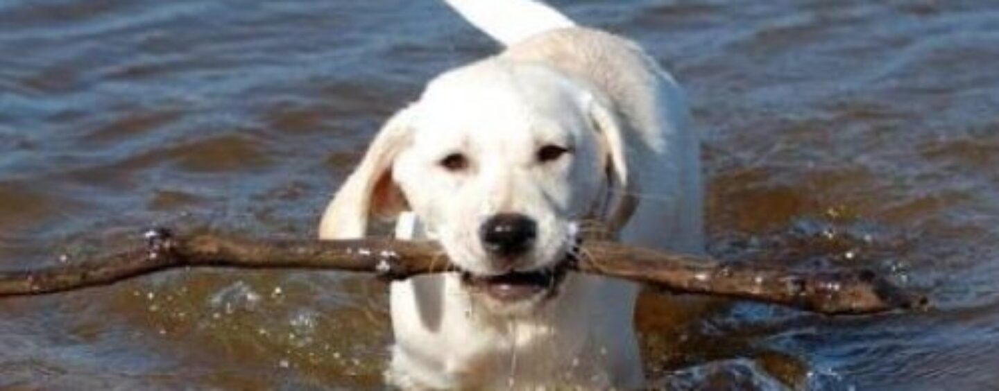 Récupérer une photo