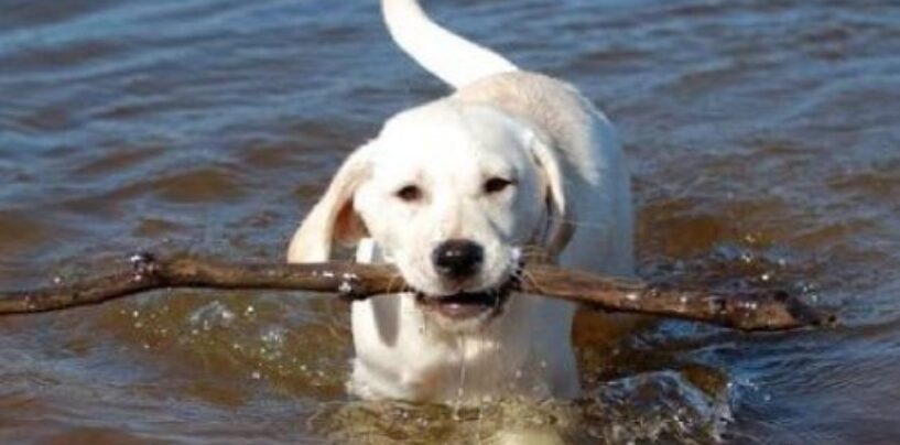 Récupérer une photo