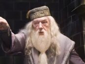 Sir Michael Gambon, la star bien-aimée d’Harry Potter, est décédé à l’âge de 82 ans