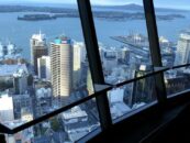 Activités à Auckland