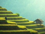 Choses à faire à Bali