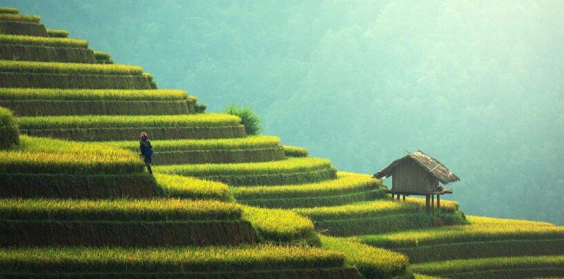 Choses à faire à Bali