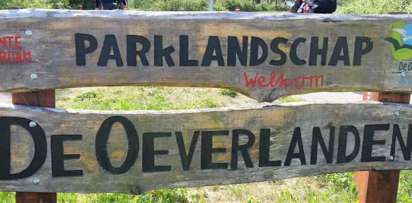 Croisière gay à Amsterdam