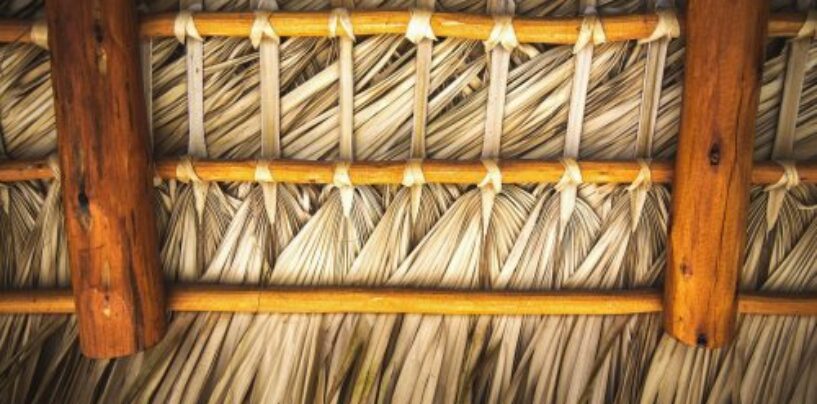 D’Hollywood à la maison, rencontrez l’icône queer du Mexique.