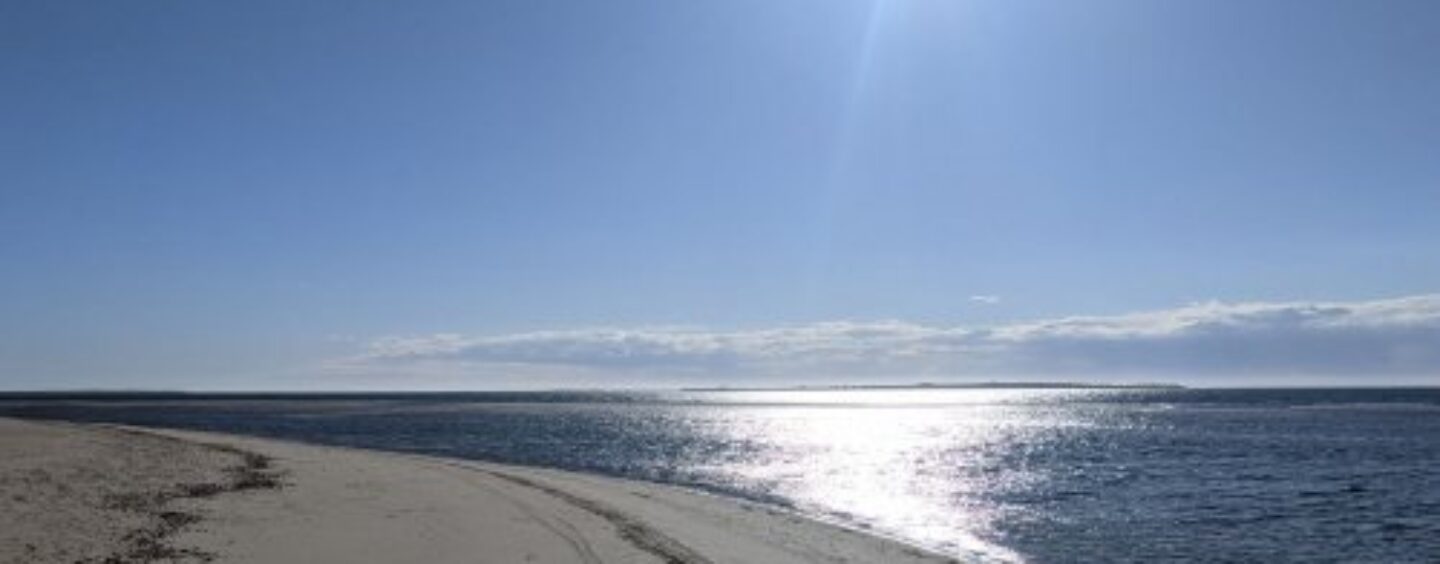 « Fragments » de Jack Johnson rend hommage à la Journée mondiale des océans