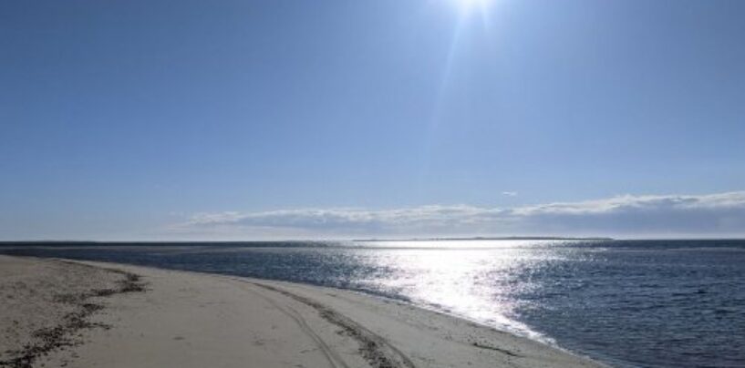 « Fragments » de Jack Johnson rend hommage à la Journée mondiale des océans