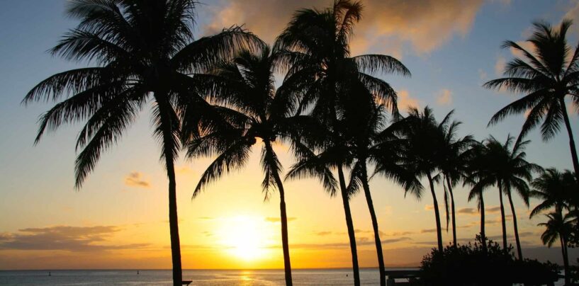 Un guide gay d’Honolulu