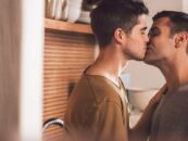 12 types de baisers gays que vous rencontrerez dans la nature