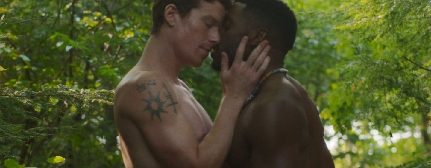 Découvrez la bande-annonce du thriller érotique queer « Birder »