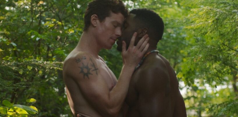 Découvrez la bande-annonce du thriller érotique queer « Birder »