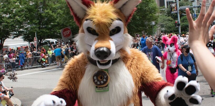 Des pirates gays à fourrure ont pénétré dans un laboratoire nucléaire pour cette folle raison