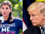 Que fera Nikki Haley, la « petite perverse » de Trump dans sa quête d’autocratie, après avoir perdu le New Hampshire ?