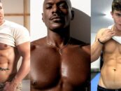 Austin Wolf, Rhyheim Shabazz, Drake Von et d’autres stars adultes remportent gros aux GayVN Awards 2024