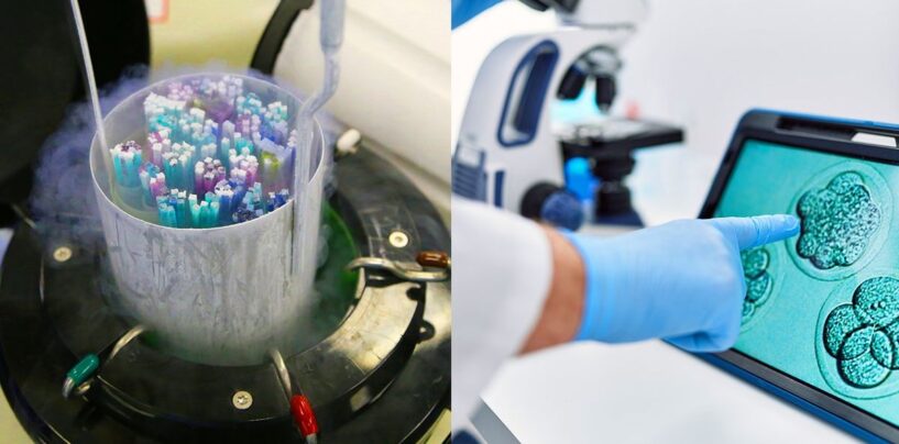 La Cour suprême de l’Alabama met en danger l’accès à la FIV en statuant que les embryons congelés sont des personnes