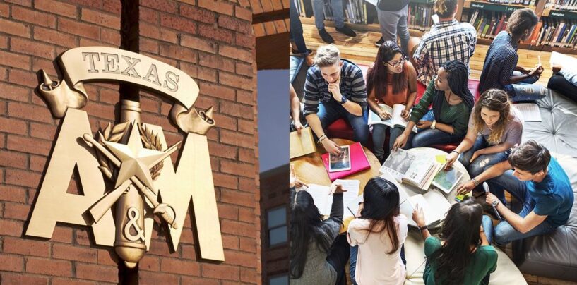 Le club mineur d’études LGBTQ et le club 4-H de Texas A&M ciblés par les législateurs républicains