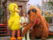 Regardez Brandi Carlile interpréter la nouvelle chanson « That’s Why We Love Nature » sur « Sesame Street »