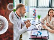 Des chercheurs ont transformé une cellule de peau en œuf.  Voici ce que cela signifie pour les personnes LGBTQ+