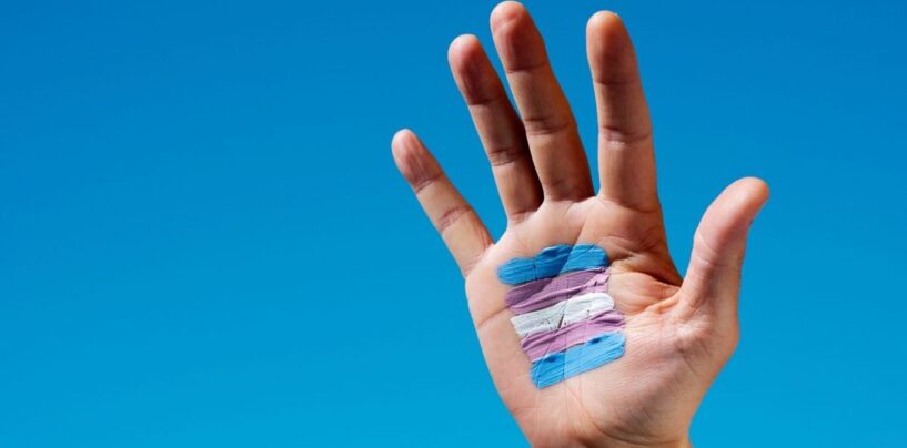 Journée de visibilité des transgenres : un regard vers le passé pour trouver l'inspiration – et se confronter à la réalité – pour ce qui nous attend