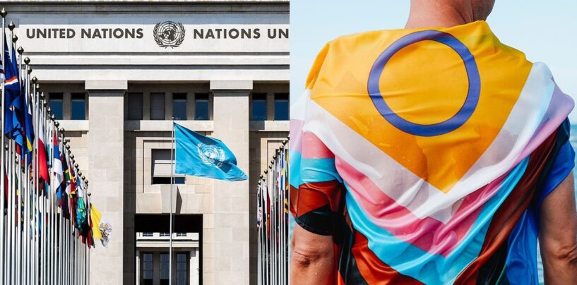 Les Nations Unies adoptent la toute première résolution historique sur les droits des personnes intersexes