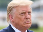 30 réponses hilarantes aux cheveux de Trump qui tentent de s'enfuir