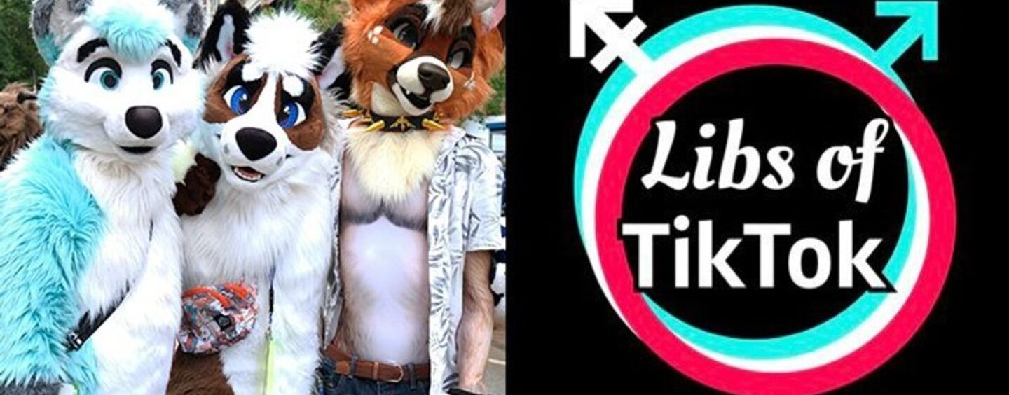 Les Libs de TikTok perdent la tête à cause des rumeurs ABSURDES de furries au collège