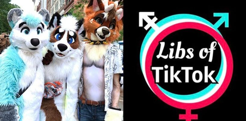 Les Libs de TikTok perdent la tête à cause des rumeurs ABSURDES de furries au collège