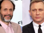 Tout ce que nous savons sur le prochain film de Luca Guadagnino, « Queer »