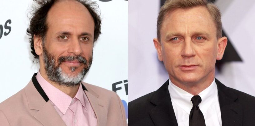 Tout ce que nous savons sur le prochain film de Luca Guadagnino, « Queer »