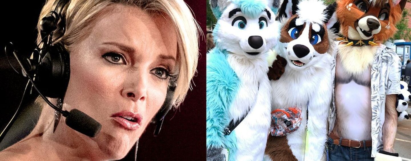 La dernière théorie du complot de Megyn Kelly sur les furries des étudiants de l'Utah Middle School démystifiée