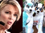La dernière théorie du complot de Megyn Kelly sur les furries des étudiants de l'Utah Middle School démystifiée