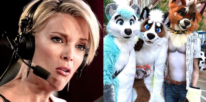 La dernière théorie du complot de Megyn Kelly sur les furries des étudiants de l'Utah Middle School démystifiée