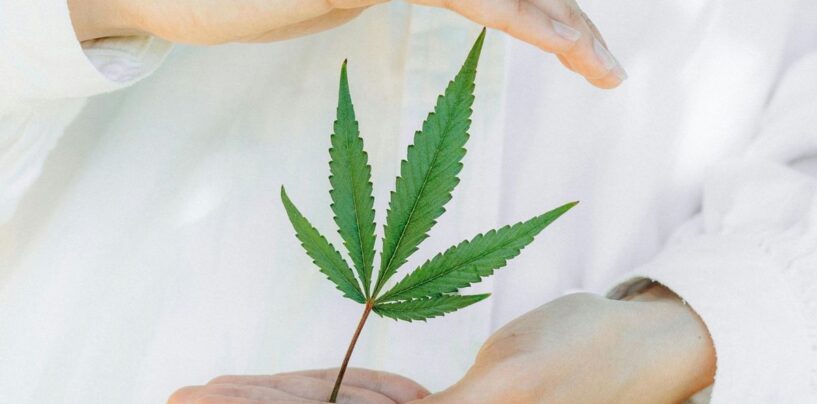 Le ministère de la Justice envisage de reclasser la marijuana comme drogue à moindre risque