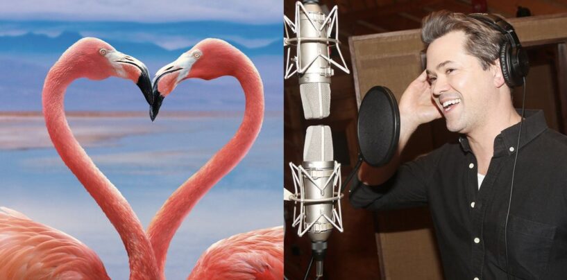 Regarder : Le document « Queer Planet » demande à quel point la nature est-elle gay ?  La réponse est TRÈS (Exclusif)