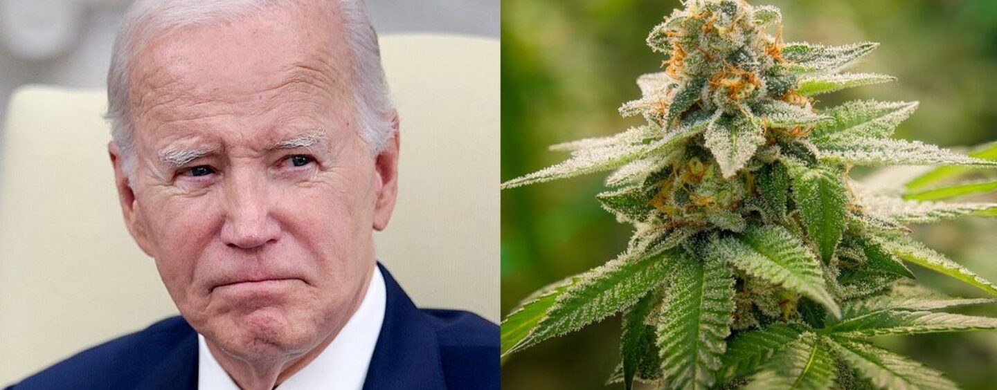 L’administration Biden décide de reclasser la marijuana, la rendant légale sur ordonnance