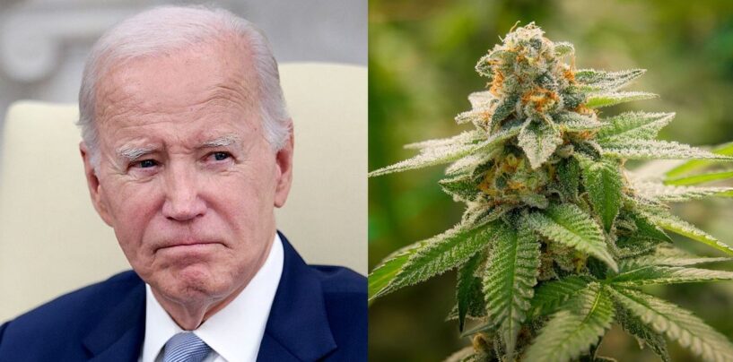 L’administration Biden décide de reclasser la marijuana, la rendant légale sur ordonnance