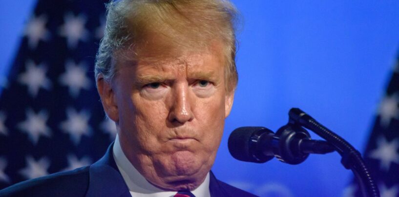 25 réactions hilarantes au fait que Trump ait été rôti par les libertaires en utilisant ses propres mots grossiers