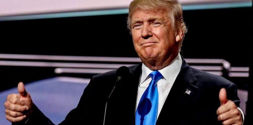 25 réactions les plus drôles lorsque Trump est trop stupide pour savoir ce que signifie « ambidextre »