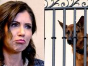 La républicaine du Dakota du Sud, Kristi Noem, a tué son chien.  Maintenant, elle veut tuer le président Joe Biden.