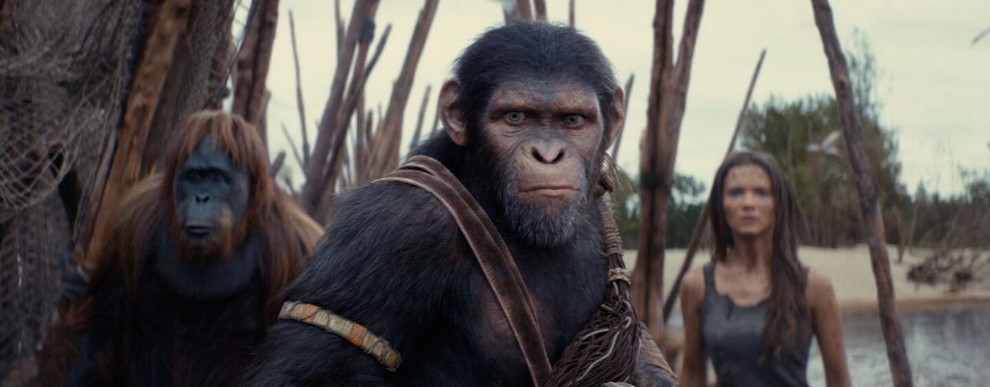 « Le Royaume de la planète des singes » offre des sensations fortes modernes et des joies nostalgiques – mais est-ce queer ?
