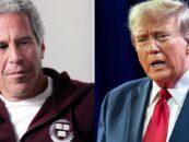Regardez Trump SWEAT lorsqu'on lui demande s'il déclassifierait les documents de Jeffrey Epstein dans une vidéo virale